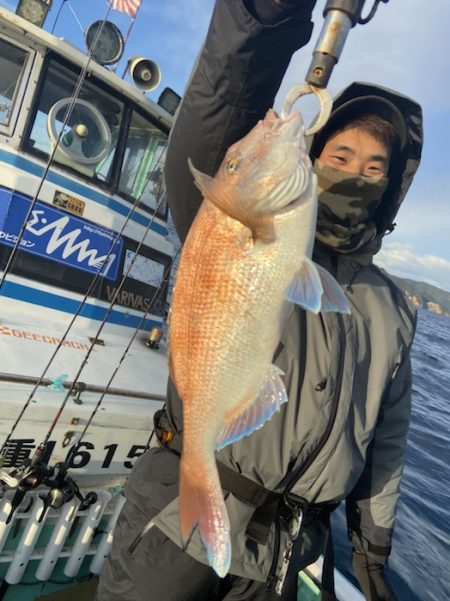 シードリーム 釣果