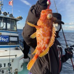 シードリーム 釣果