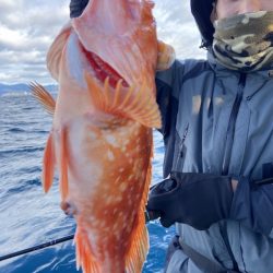 シードリーム 釣果