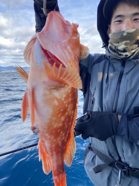 シードリーム 釣果