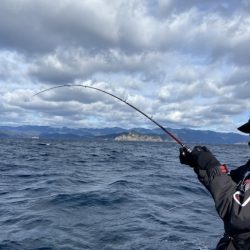 シードリーム 釣果