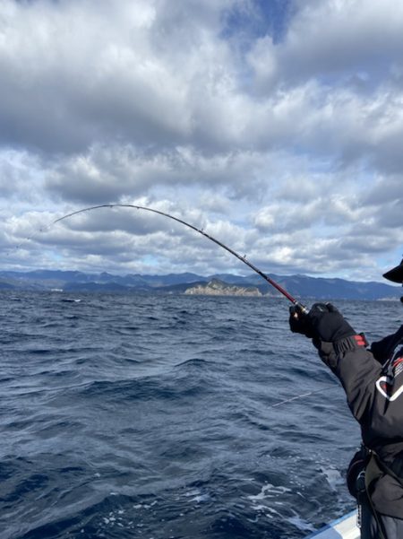 シードリーム 釣果