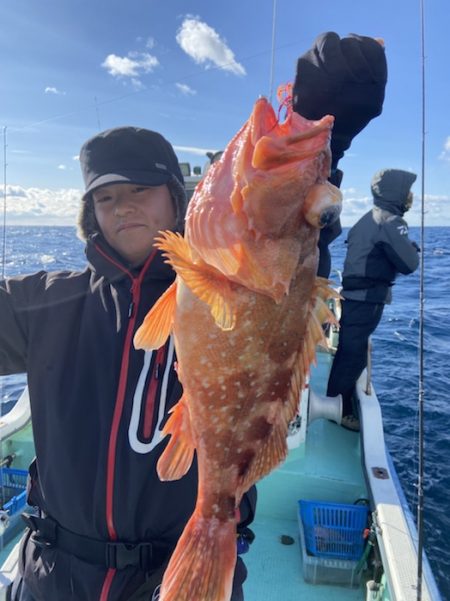 シードリーム 釣果