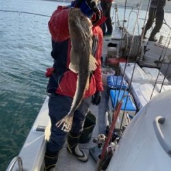 シーモンキー 釣果