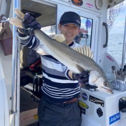 シーモンキー 釣果