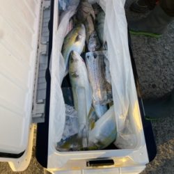 シーモンキー 釣果