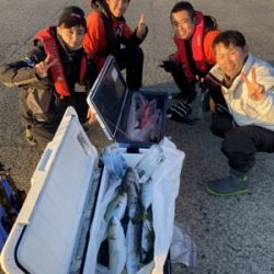 シーモンキー 釣果