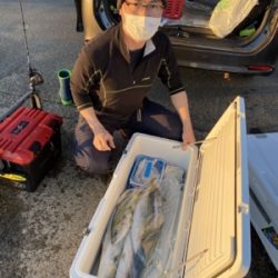 シーモンキー 釣果