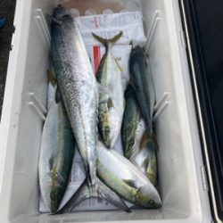 シーモンキー 釣果