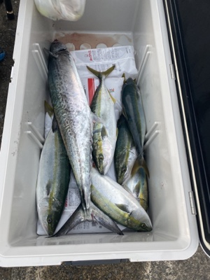 シーモンキー 釣果