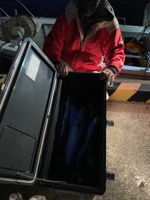 シーモンキー 釣果