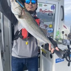 シーモンキー 釣果