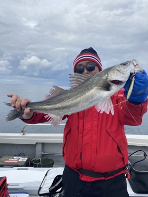 シーモンキー 釣果