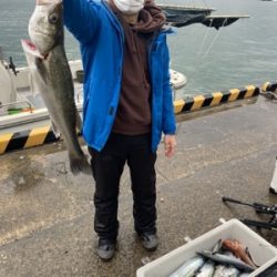 シーモンキー 釣果