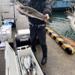 シーモンキー 釣果