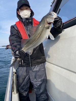 シーモンキー 釣果