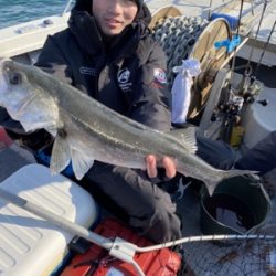 シーモンキー 釣果