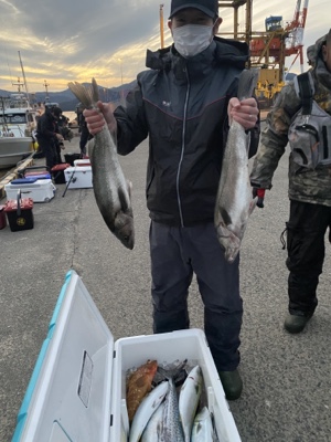 シーモンキー 釣果