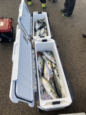 シーモンキー 釣果