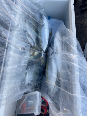 シーモンキー 釣果