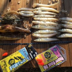 ファミリーフィッシングにもってこい！【がまかつちょい投げ　インプレッション】