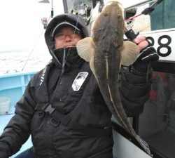 東京湾探釣隊ぼっち 釣果