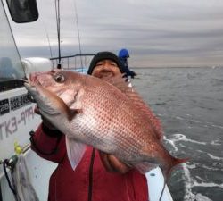 東京湾探釣隊ぼっち 釣果