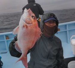 東京湾探釣隊ぼっち 釣果