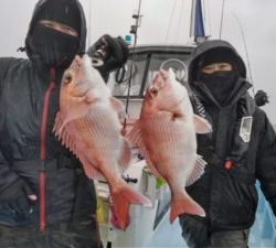 東京湾探釣隊ぼっち 釣果