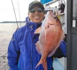東京湾探釣隊ぼっち 釣果