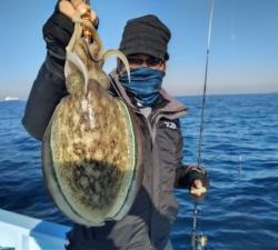 東京湾探釣隊ぼっち 釣果
