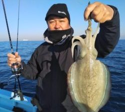 東京湾探釣隊ぼっち 釣果