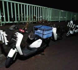 東京湾探釣隊ぼっち 釣果