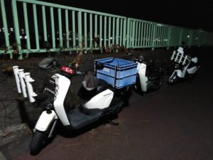 東京湾探釣隊ぼっち 釣果