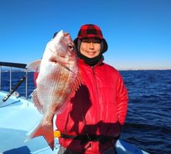 東京湾探釣隊ぼっち 釣果
