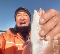 東京湾探釣隊ぼっち 釣果