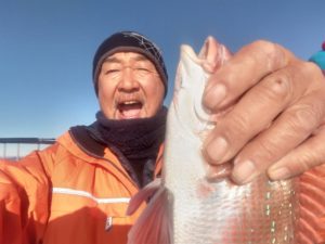 東京湾探釣隊ぼっち 釣果