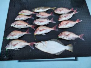 東京湾探釣隊ぼっち 釣果