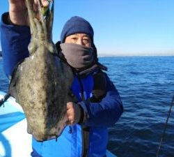東京湾探釣隊ぼっち 釣果