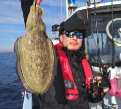 東京湾探釣隊ぼっち 釣果