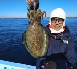 東京湾探釣隊ぼっち 釣果