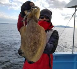 東京湾探釣隊ぼっち 釣果