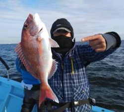 東京湾探釣隊ぼっち 釣果