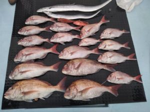 東京湾探釣隊ぼっち 釣果