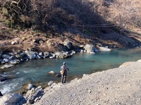 秩父フライフィールド 釣果