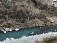 秩父フライフィールド 釣果