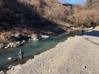 秩父フライフィールド 釣果