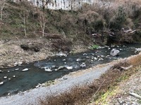 秩父フライフィールド 釣果