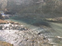 秩父フライフィールド 釣果