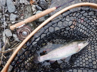 秩父フライフィールド 釣果